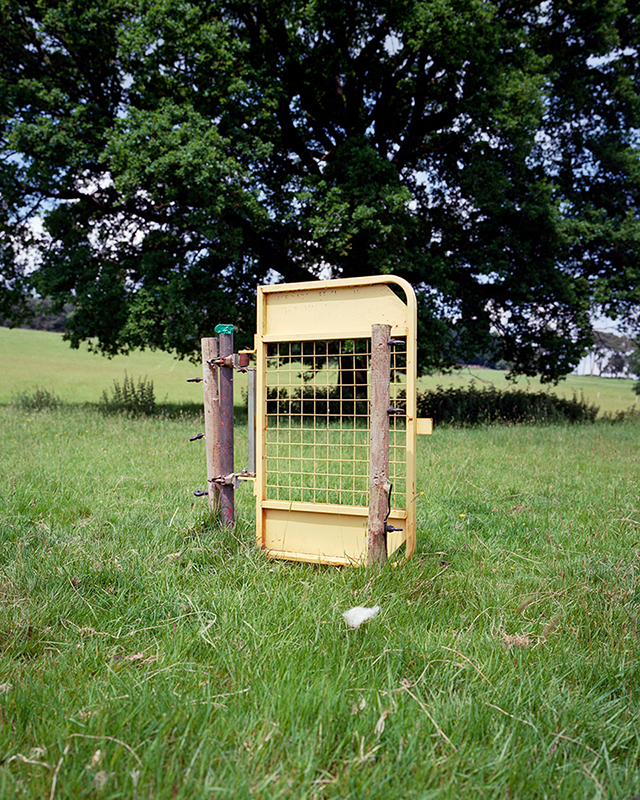 Image 16